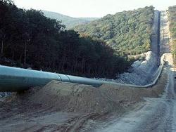 picture (medium)